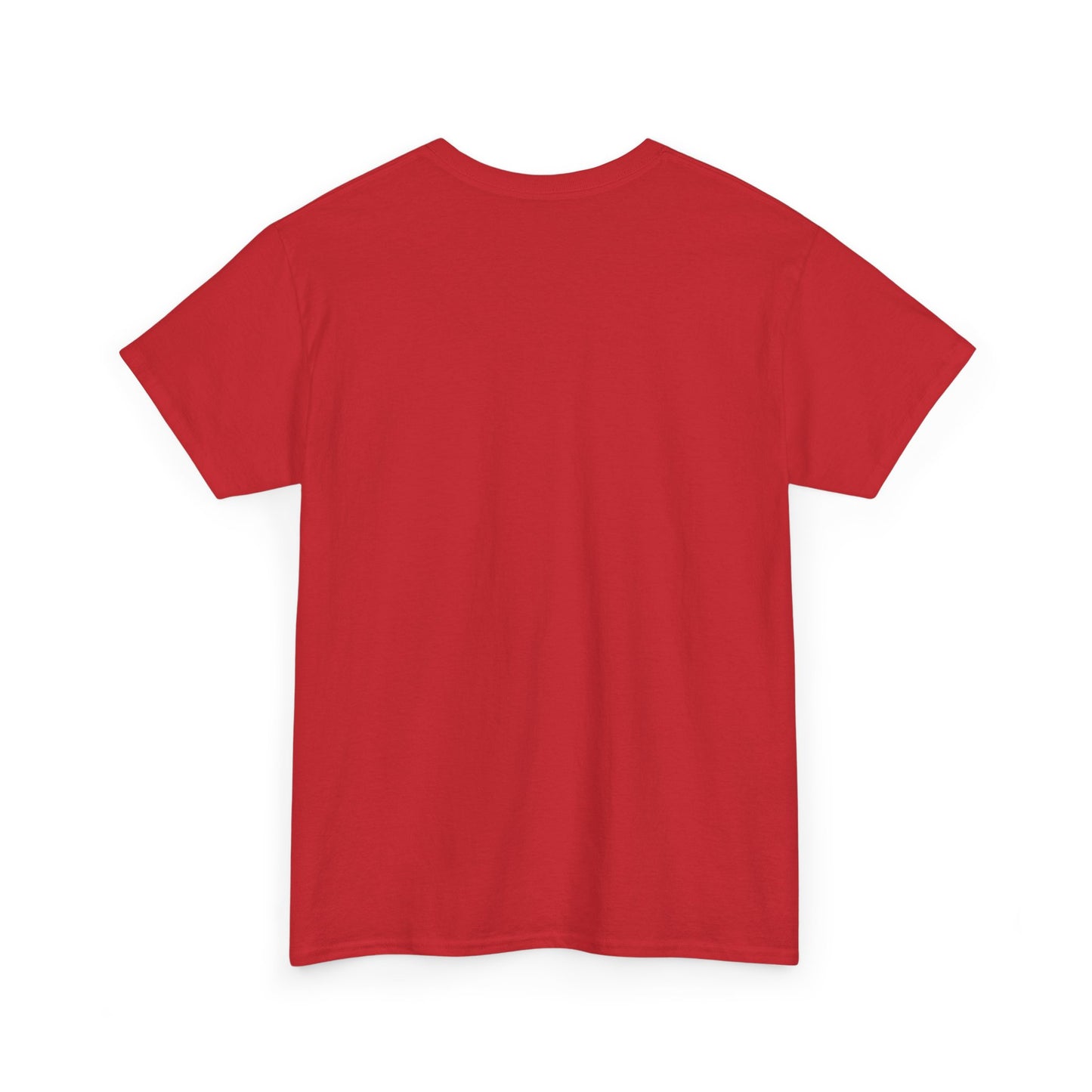 Davis Unisex Heavy Cotton Tee